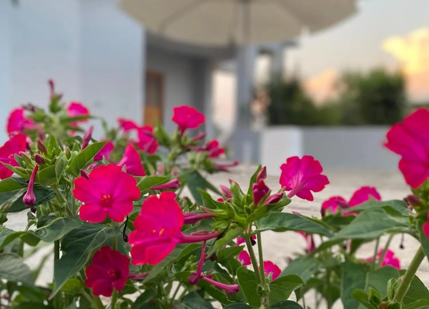 Villa Andres Ksamil Albania